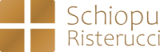 Logo Zahnarzt, Tätigkeitsschwerpunkt Implantologie , , Tätigkeitsschwerpunkt  Endodontie : Dr. med.dent René C. Schiopu Ph.D, Schiopu / Risterucci, , Germering