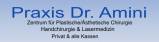 Logo Plastische Chirurgin : Dr. med. Peymaneh Amini, Praxis für Plastische/Ästhetische Chirurgie,Handchirurgie, Gesundheitscampus Facharztzentrum, Bad Homburg