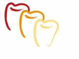 Logo Zahnarzt : Dr Harald  Beck, Praxis für Zahnmedizin und Implantologie, Dr. med dent Harald Beck   Dr. med dent Jutta Beck, Bornheim